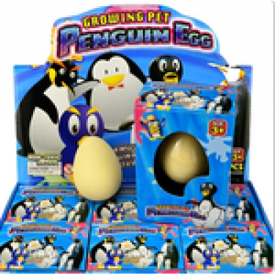 Growing Pet Penguin Egg